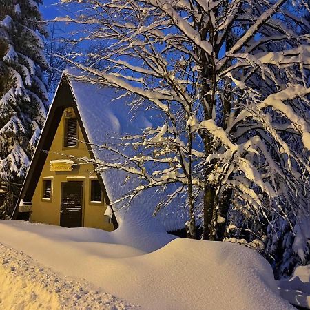 Holiday Home Kragovic Kopaonik Buitenkant foto