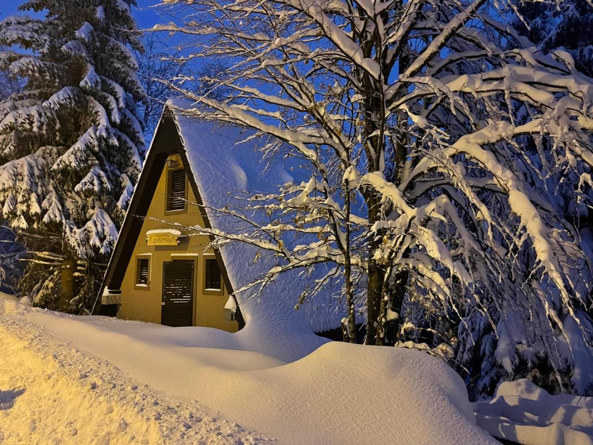 Holiday Home Kragovic Kopaonik Buitenkant foto