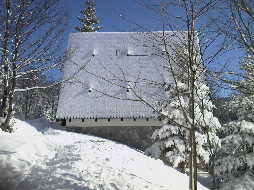 Holiday Home Kragovic Kopaonik Buitenkant foto