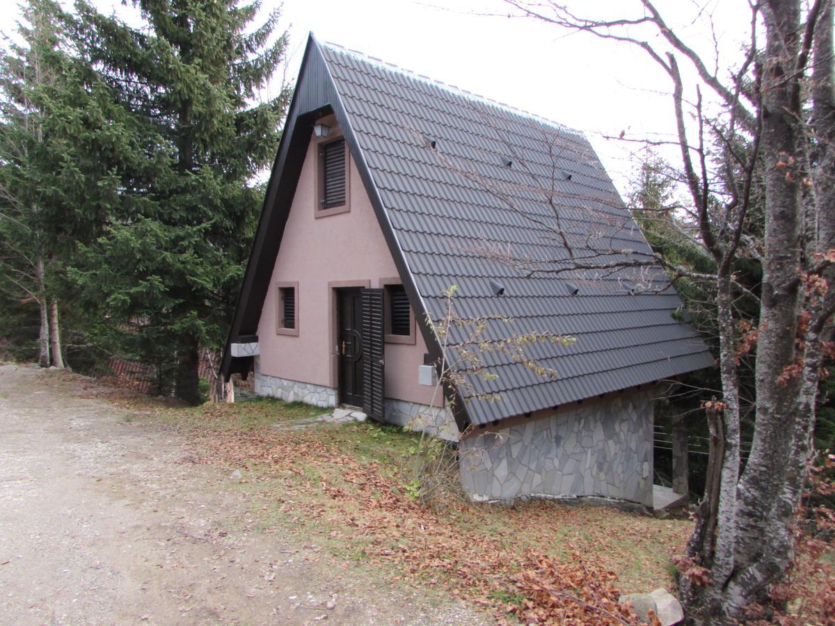 Holiday Home Kragovic Kopaonik Buitenkant foto